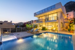 Villa Pine 43-40_resize
