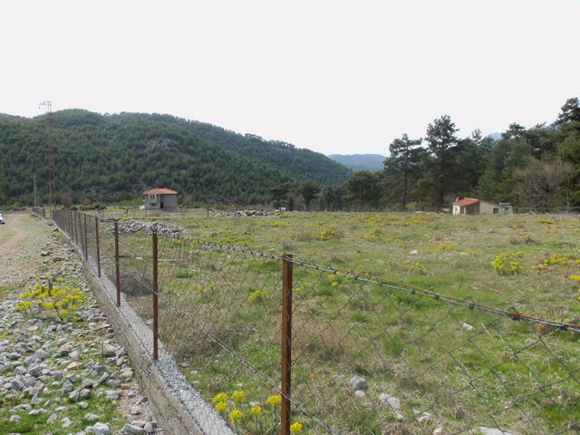 Big Plot of Land Surrounded By The Forest And Mountains in Nif / Uzumlu