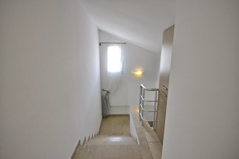 33_resize